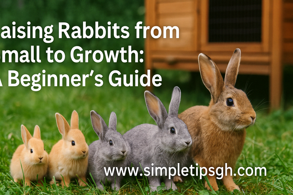 Raising Rabbits from Small to Growth: A Beginner’s Guide Raising rabbits