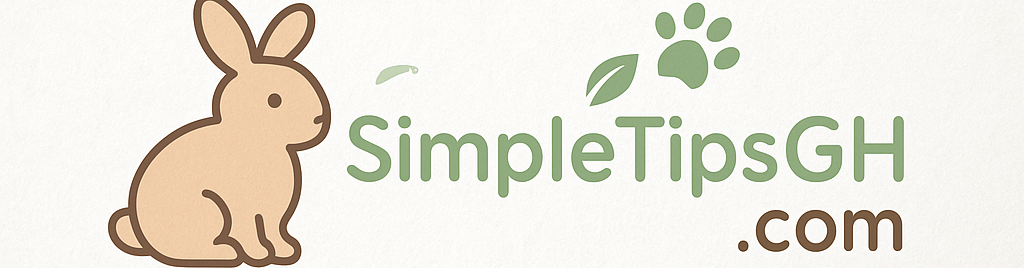 Simpletipsgh blog