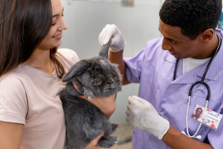 Top 12 Rabbit Health Problems and How to Spot Them Early